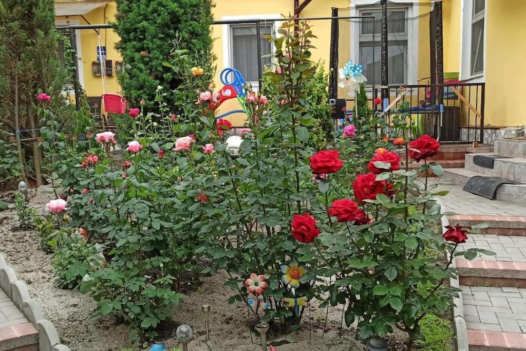 Color Home Hermannstadt 1 Bagian luar foto