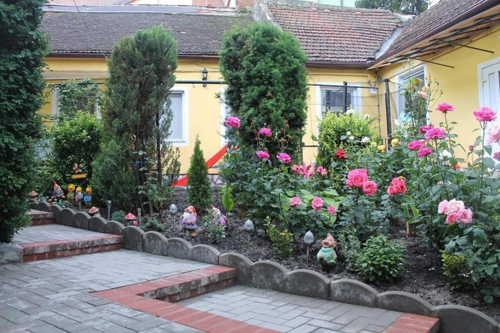 Color Home Hermannstadt 1 Bagian luar foto